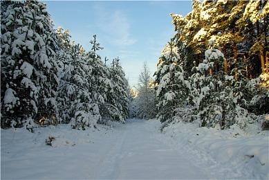 CDPR：《巫师4》至少还要3年 之后两个续作也都需要3年